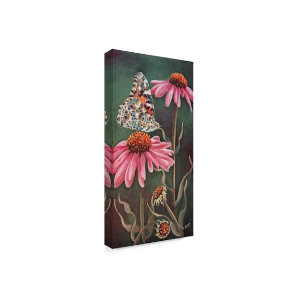 Carol J Rupp 'Coneflower With Butterfly' Canvas Art,24x47